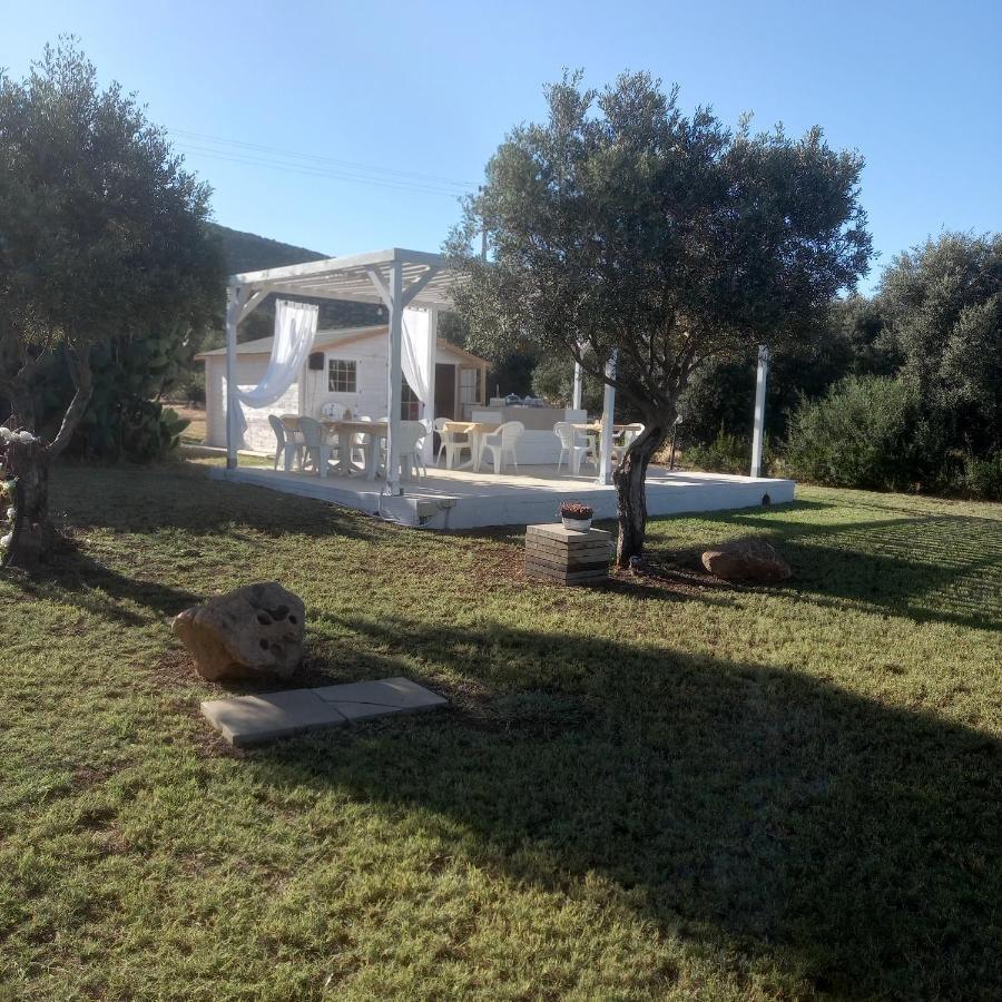 B&B Gli Ulivi SantʼAnna Arresi Exteriör bild